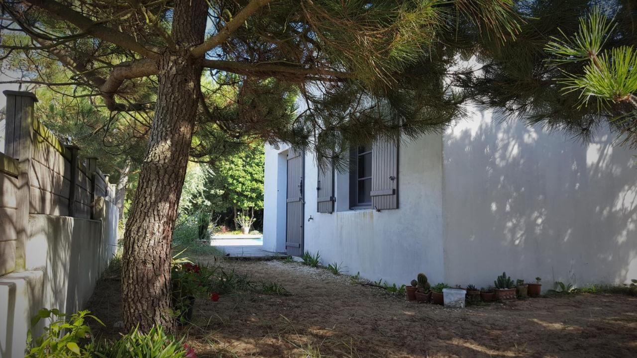 Sea-Snow Guest Houses Talmont-Saint-Hilaire Εξωτερικό φωτογραφία